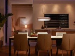 PHILIPS HUE ENRAVE RIIPPUVALAISIN 42,5CM 2200-6500K