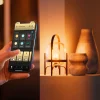 PHILIPS HUE WA ÄLYLAMPPU A67 E27