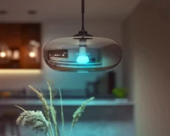 PHILIPS HUE WCA ÄLYLAMPPU 13.5W A67 E27 1200L 2000-6500K