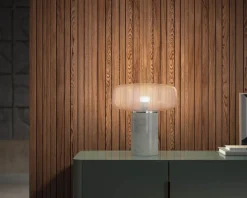 PHILIPS HUE WHITE ALOITUSPAKKAUS 9.5W A60 E27 2KPL 1055L 2700K