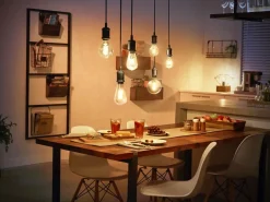 PHILIPS HUE WHITE ÄLYLAMPPU FILAMENT 7,2W A60 E27 550L 2100K