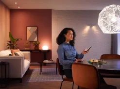 PHILIPS HUE WHITE ÄLYLAMPPU 9.5W A60 E27 1055L 2700K
