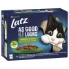 PURINA LATZ AGAIL COUNTRYSIDE LAJ VIHANNEKSILLA HYYT 12*85G 1,02 KG
