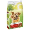 PURINA FRISKIES KOIRAN TÄYSRAVINTO ADULT NAUDANLIHA 4 KG