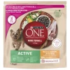 PURINA ONE KOIRAN TÄYSRAVINTO SMALL DOG ACTIVE KANA-RIISI 1,5 KG