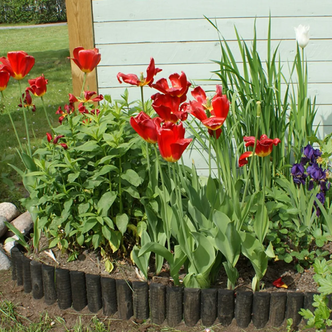 PUUREUNANAUHA, MUSTAHARMAA KORK. 20 CM (LAVALLA 100)