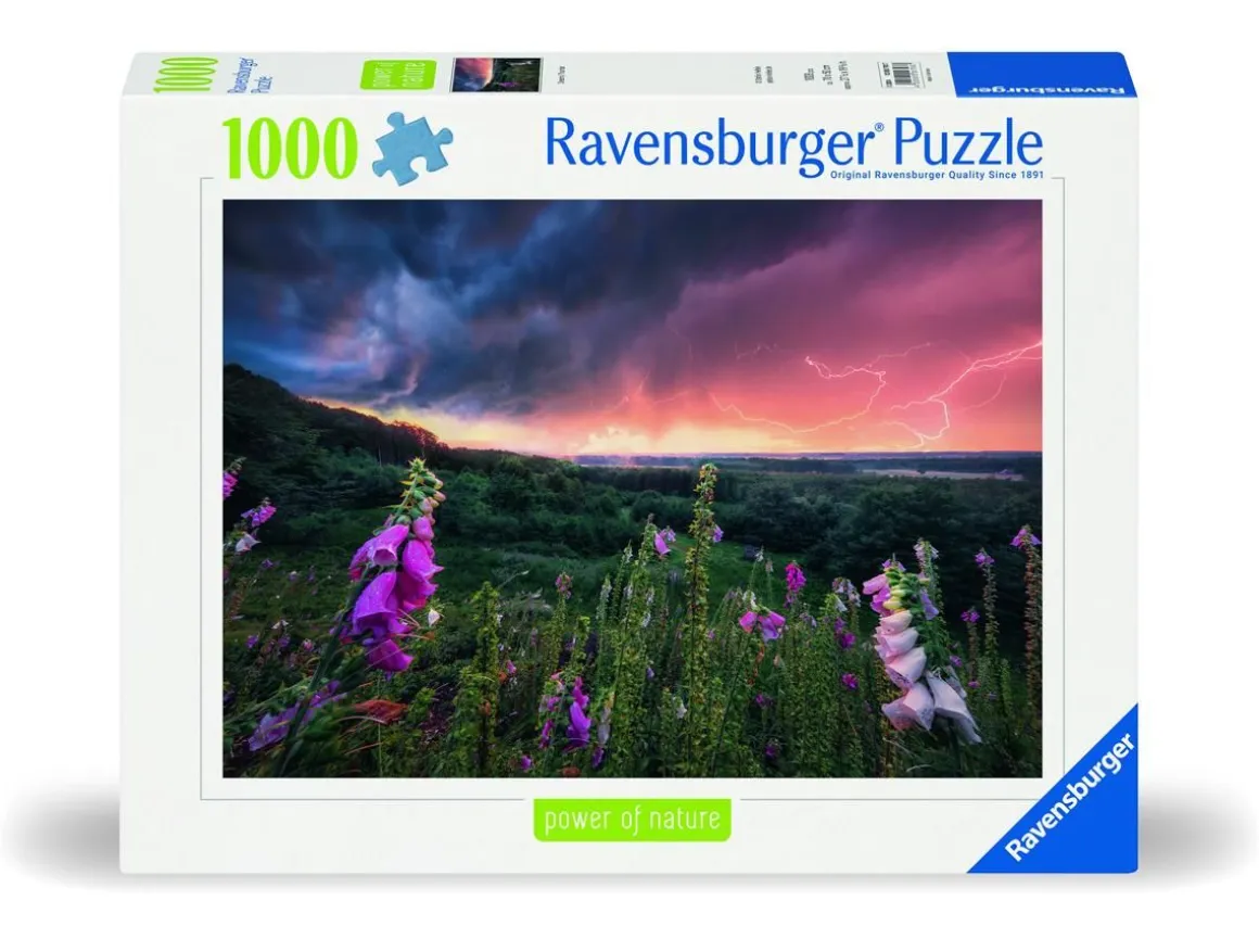 RAVENSBURGER DREAMY THUNDER 1000 PALAA
