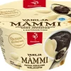 SAARIOINEN VANILJAMÄMMI  150 G