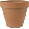 SAVIRUUKKU ANTIUE 13 CM