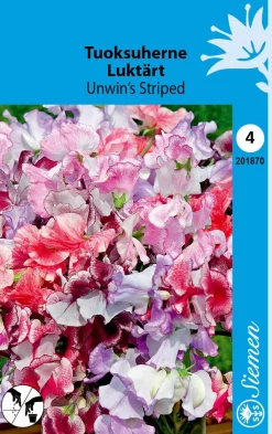 SCHETELIG TUOKSUHERNE UNWIN'S STRIPED