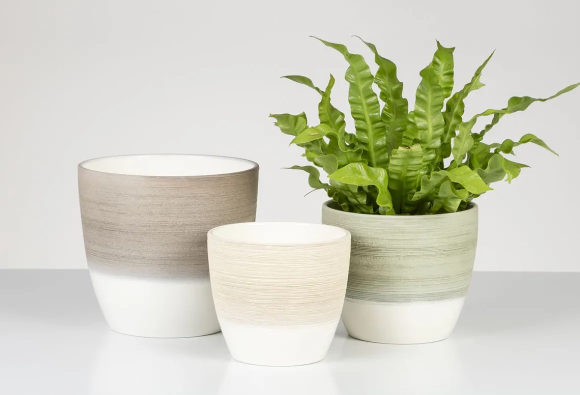 SCHEURICH RUUKKU 950/19 MATCHA CREAM