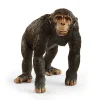 SCHLEICH WILD LIFE SIMPANSSI
