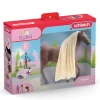 SCHLEICH ALOITUSSETTI - LEO & ROCKY