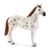 SCHLEICH TOURNAMENT TRAINING SET & APPALOOSA HORS