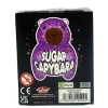 SCRUNCHEMS  SUGAR CAPYBARA