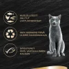 SHEBA ANNOSP. SOUP 4*40G LOHI 160 G
