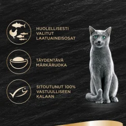 SHEBA RASIA LUXURIES KANAFILE-KATKARAPU-MERIKALA 60 G