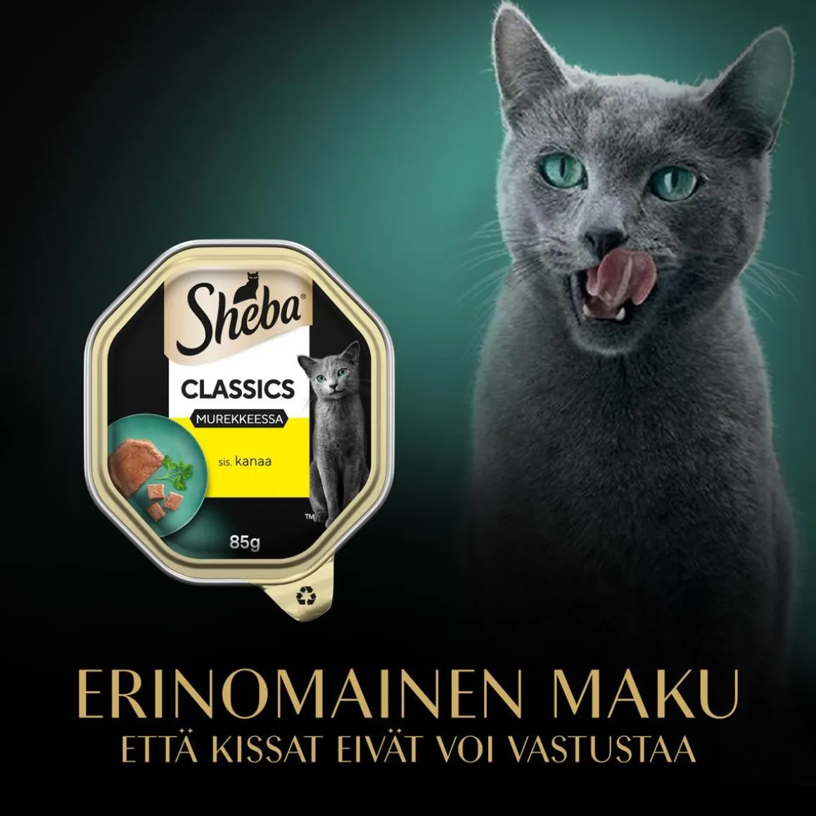 SHEBA RASIA CLASSIC KANA 85 G