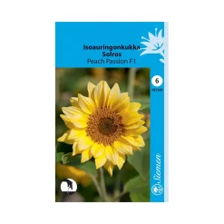 SIEMEN ISOAURINGONKUKKA PEACH PASSION F1 HR6