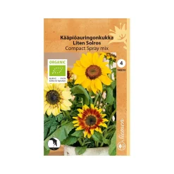SIEMEN LUOMU KÄÄPIÖAURINGONKUKKA COMPACT SPRAY MIX