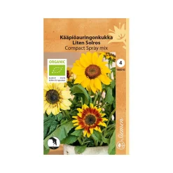 SIEMEN LUOMU KÄÄPIÖAURINGONKUKKA COMPACT SPRAY MIX
