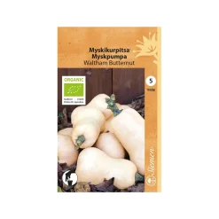 SIEMEN LUOMU MYSKIKURPITSA WALTHAM BUTTERNUT