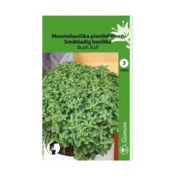 SIEMEN MAUSTEBASILIKA BUSH BALL PIENILEHT HR3