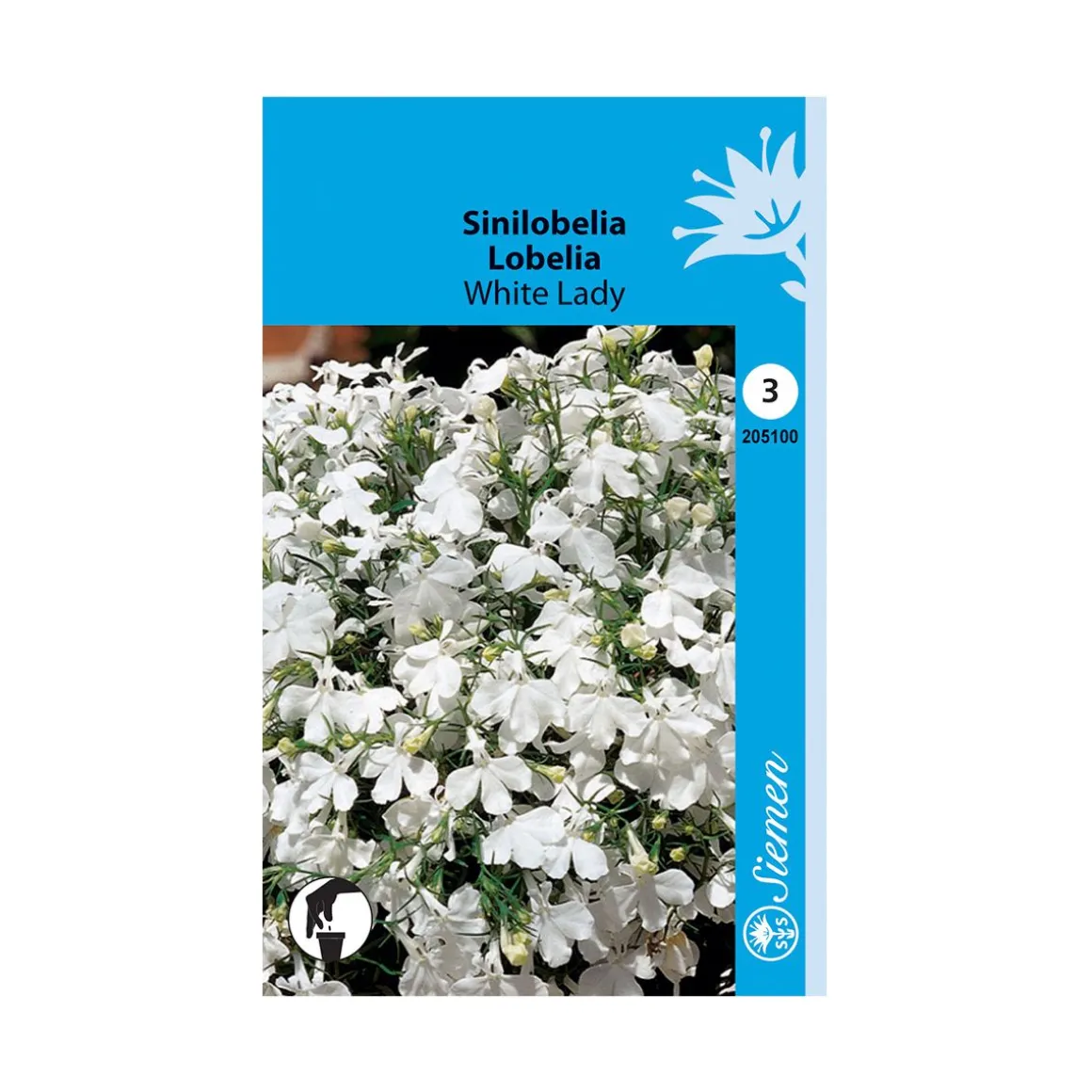 SIEMEN SINILOBELIA WHITE LADY HR3