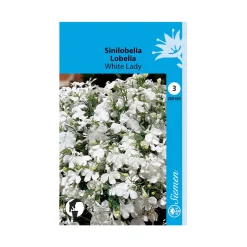 SIEMEN SINILOBELIA WHITE LADY HR3