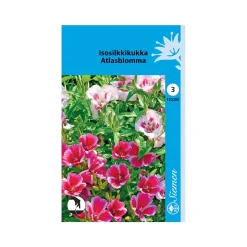 SIEMEN ISOSILKKIKUKKA SEKOITE HR3