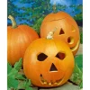 SIEMEN JÄTTILÄISKURPITSA JACK O'LANTERN HR4