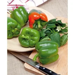 SIEMEN PAPRIKA CALIFORNIA WONDER HR3