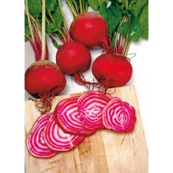 SIEMEN PUNAJUURIKAS CHIOGGIA HR3