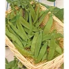 SIEMEN SOKERIHERNE SUGAR DWARF SWEET GREEN HR3