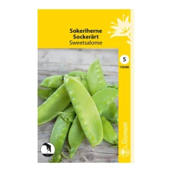 SIEMEN SOKERIHERNE SWEETSALOME HR5