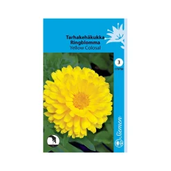 SIEMEN TARHAKEHÄKUKKA YELLOW COLOSAL HR3