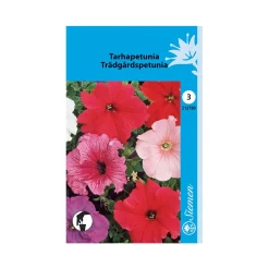 SIEMEN TARHAPETUNIA SEKOITE HR3