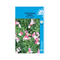 SIEMEN TUOKSUHERNE PINK CUPID HR4
