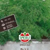 SPERLI TILLI SPERLI'S SARI
