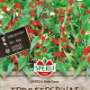 SPERLI MANSIKKAPINAATTI   F   ANN