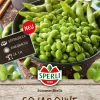 SPERLI SOIJAPAPU SUMMER SHELLS    ANN  I