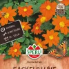 SPERLI TITHONIA FIESTA DEL SOL ANN