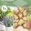 SUBSTRAL PITKÄVAIKUTTEINEN LANNOITEKÄPY 10 KPL