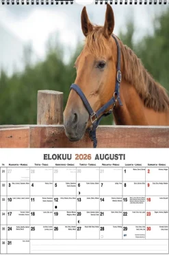 SUOMEN AIKA ISO SEINÄKALENTERI HEVOSET