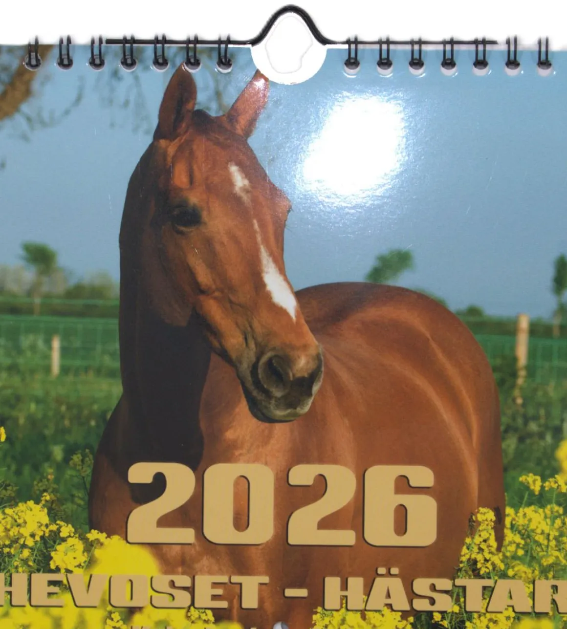 SUOMEN AIKA MIDI KALENTERI HEVOSET