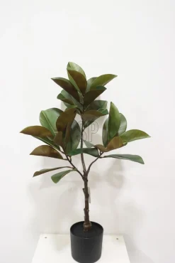 TEKOAKSVI RUUUKUSSA 50X95CM