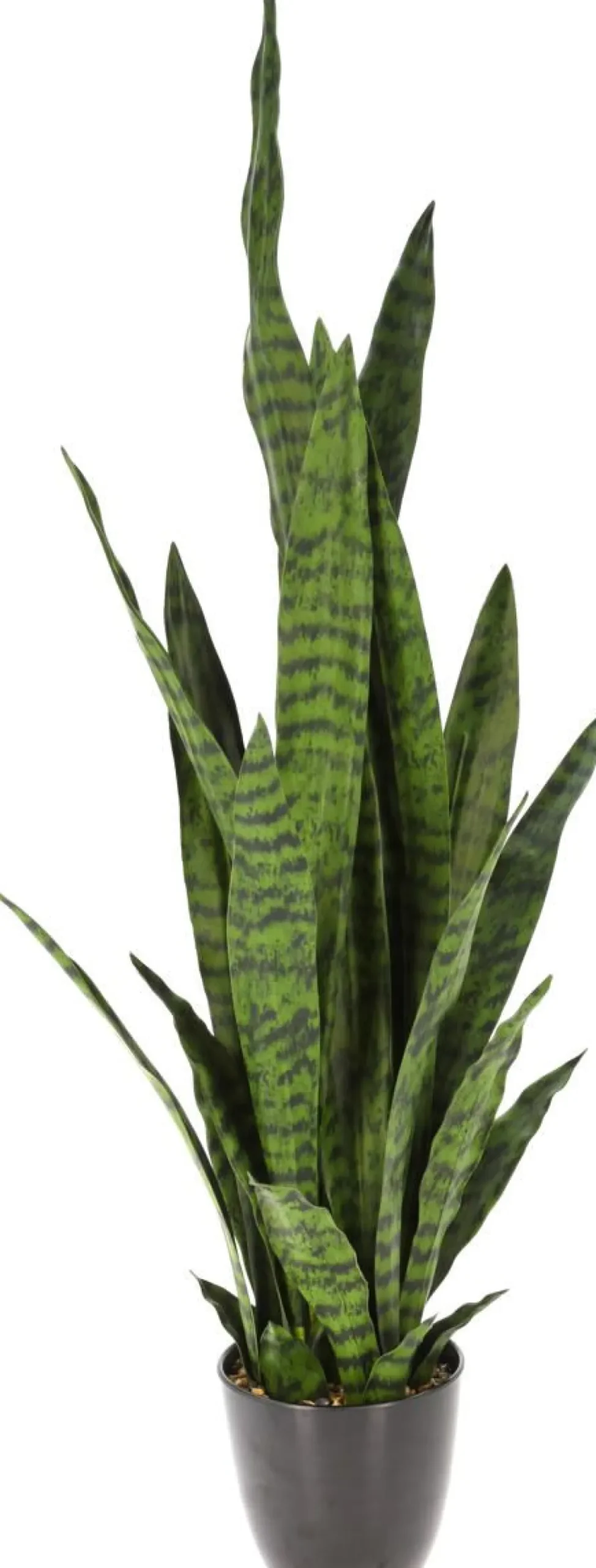 TEKOKASVI 92 CM