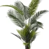 TEKOKASVI PALMU 177CM
