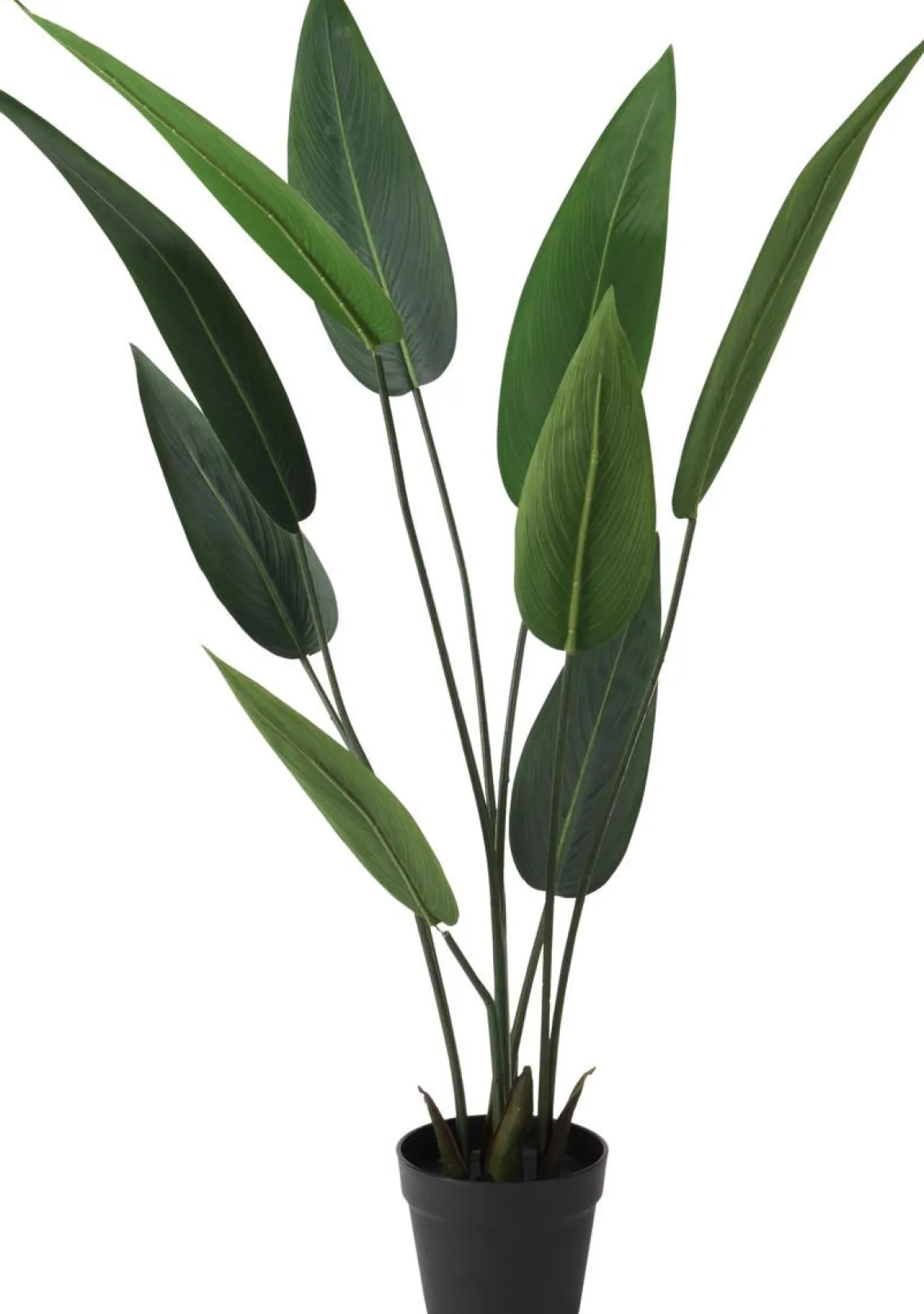 TEKOKASVI 110 CM