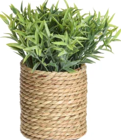TEKOKASVI RUUKUSSA 23CM